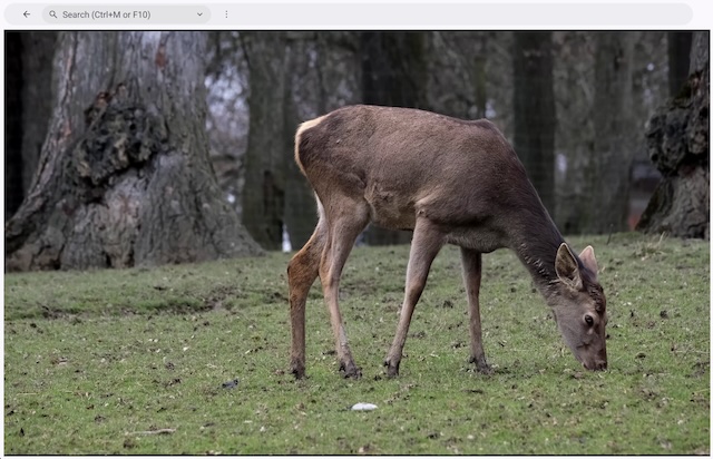 Screenshot of the video example